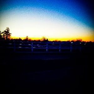 Meet your Posher, Iris